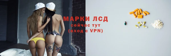 стафф Алексин