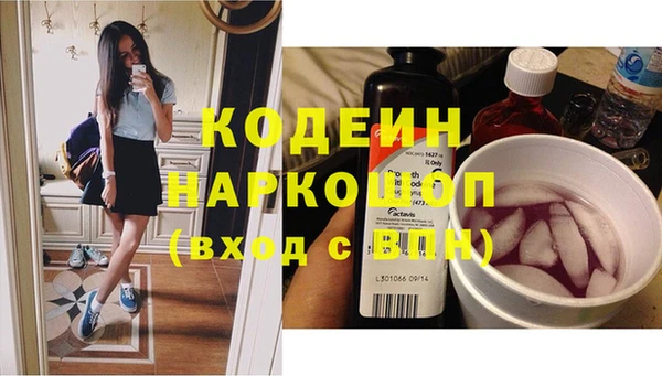 стафф Алексин