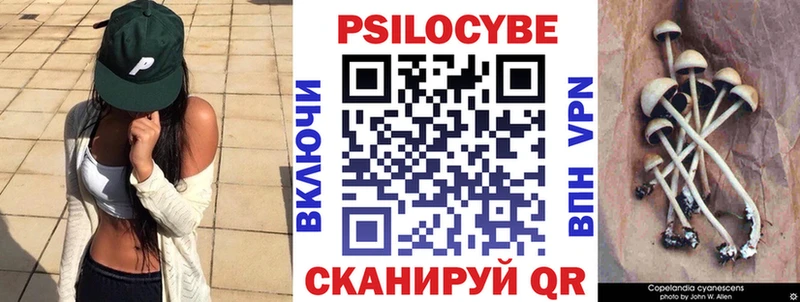как найти закладки  Рыбное  Псилоцибиновые грибы MAGIC MUSHROOMS 